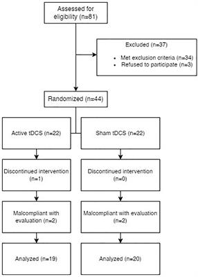 Long-term effect of transcranial direct current stimulation in the treatment of chronic tinnitus: A randomized, placebo-controlled trial